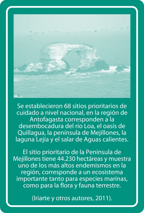 Portada Reverso